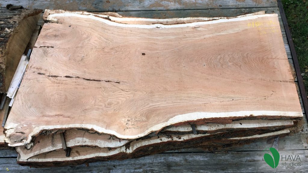 200 Year Old Honey Locust Wood Live Edge Natural Slab for sale